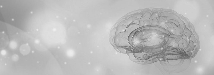 brain on grey-white background